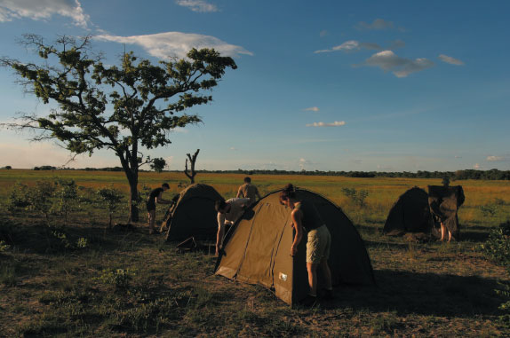 lioncamp