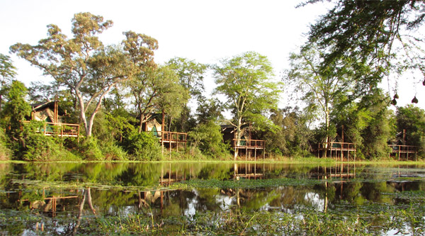 Machampane Wilderness Camp