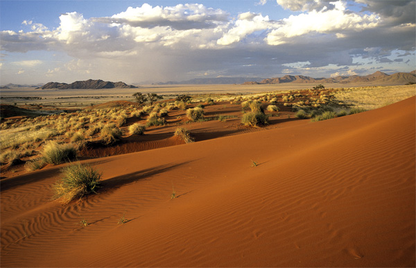 Namib