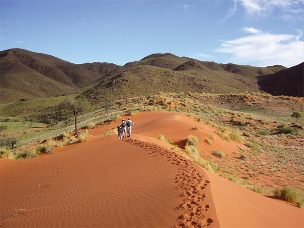 Namib Rand