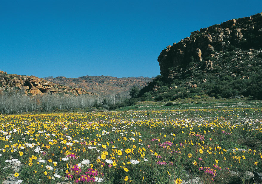 Reise S&uuml;dafrika - Namaqualand
