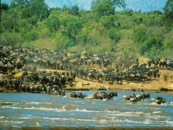 Ngorongoro Hochland / Lake Manyara National Park