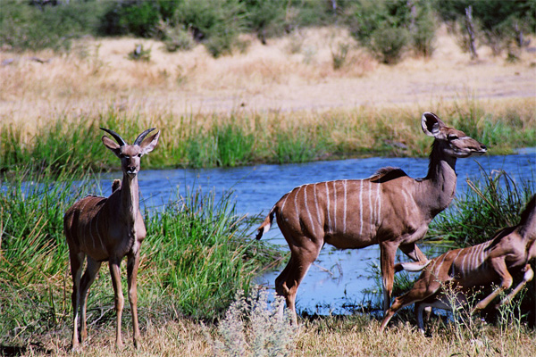 Nyanga National Park