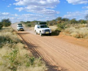 Mit dem Mietwagen durch Botswana – Praktische Tipps für die Selbstfahrertour
