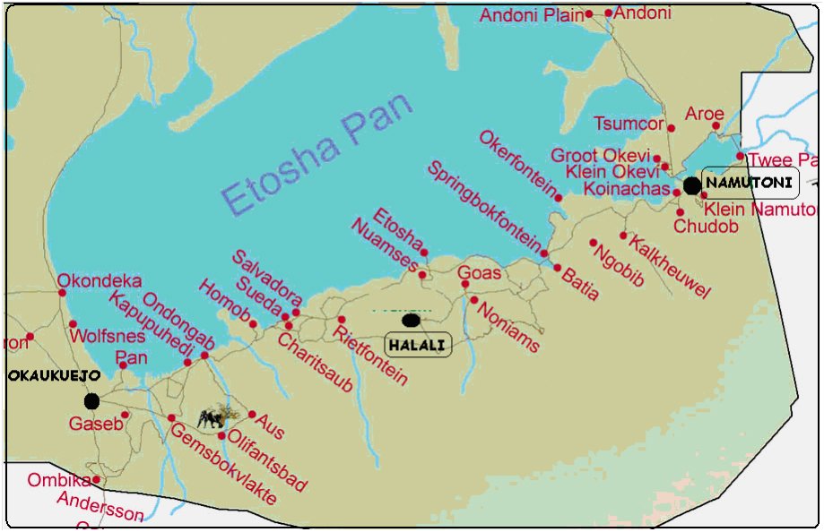 Etosha_Iwanowski_reisen › Iwanowskis Afrika-Blog