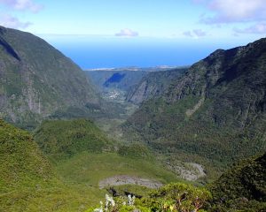 La Réunion auf unbekannten Wegen – von der Sud Sauvage auf die Vulkanebene mit unserer Autorin Rike Stotten (Teil 2)