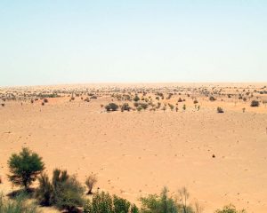 Luxus-Camping unter dem Sternenzelt des Oman