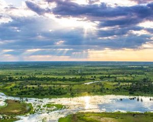 Eine der schönsten Naturlandschaften Afrikas: Botswanas Moremi Game Reserve