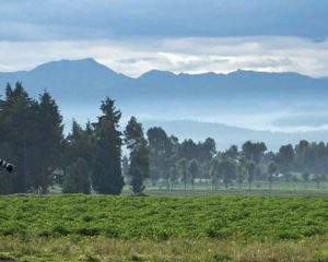 Authentische Begegnung mit Kultur und Gesellschaft in Ruanda