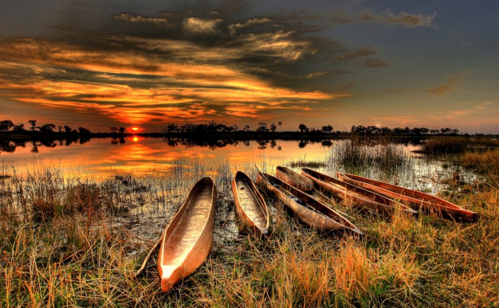 Botswana Okavango Delta Mokorofahrt Iwanowskis Reisen - afrika.de