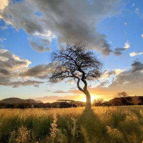 Namibia Damaraland Ai Aiba Rockpainting Lodge Nature Drive Iwanowskis Reisen - afrika.de