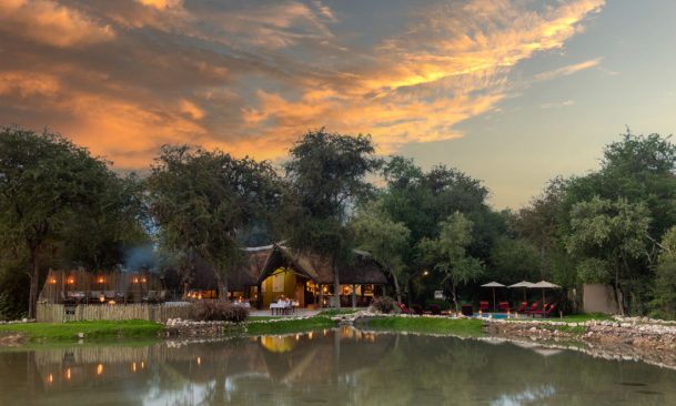 Namibia Onguma Game Reserve Forest Camp Iwanowskis Reisen - afrika.de