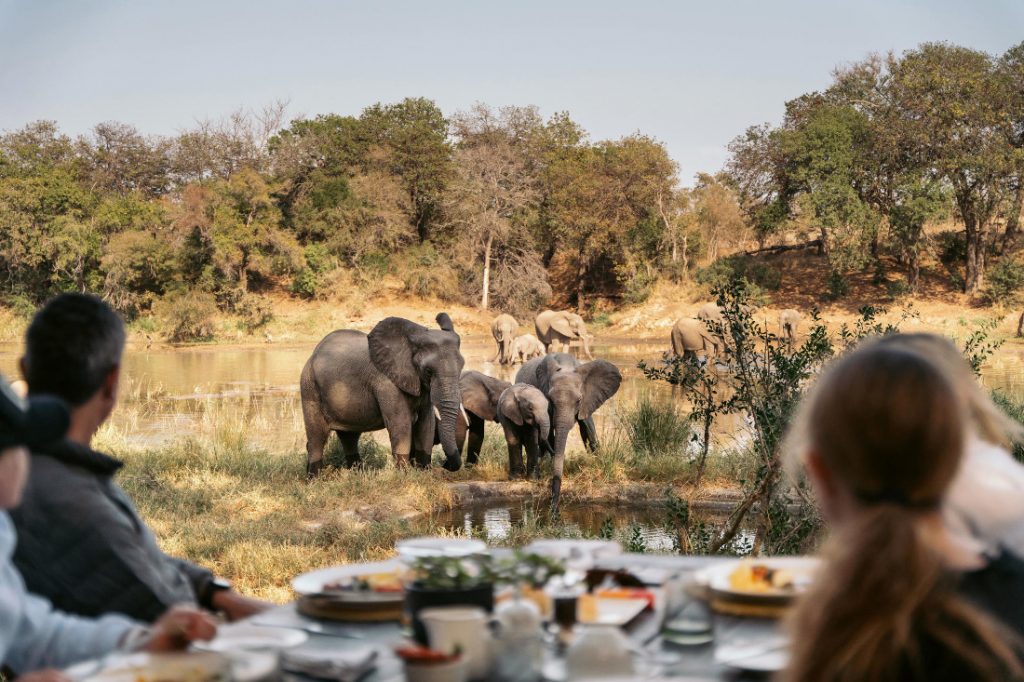 Südafrika Kruger National Park Simbavati River Lodge Iwanowskis Reisen afrika.de
