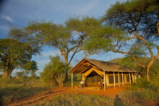 Tansania Mkomazi Game Reserve Babus Camp Iwanowskis Reisen - afrika.de
