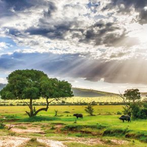 Tansania Serengeti National Park Serengeti under Canvas Landschaft Iwanowskis Reisen - afrika.de