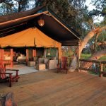 Botswana Gunns Camp Zeltunterkunft Iwanowskis Reisen - afrika.de