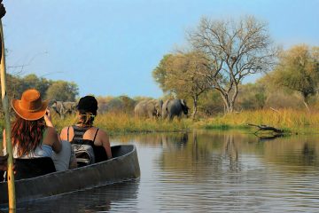 Botswana Moremi Wildlife Reserve Sango Safari Camp Mokorofahrt Iwanowskis Reisen - afrika.de