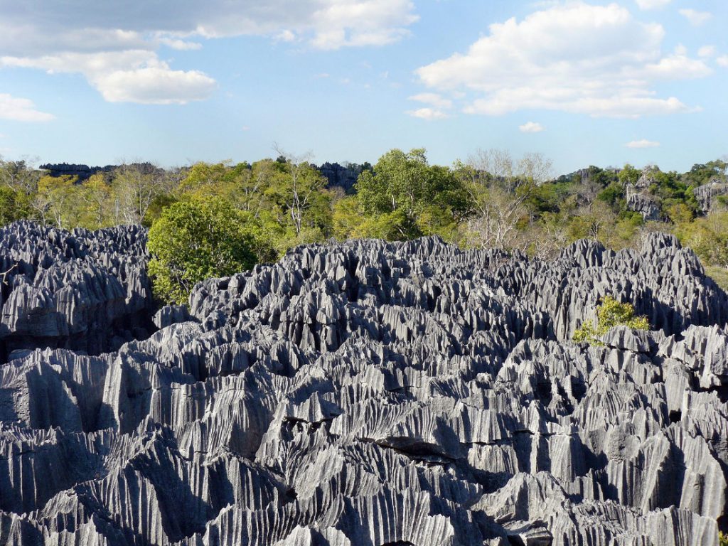 Madagaskar Westküste Tsingy Kalksteinnadeln Iwanowskis Reisen - afrika.de