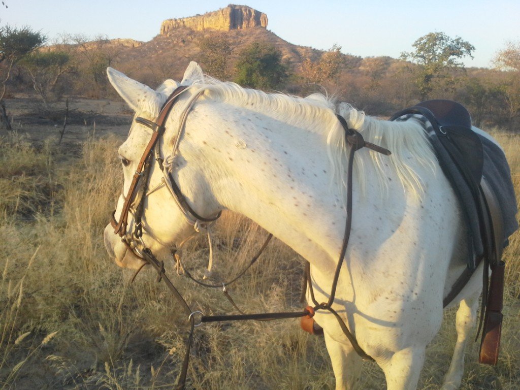 Namibia Gästefarm Omburo Ost Pferd Iwanowskis Reisen - afrika.de