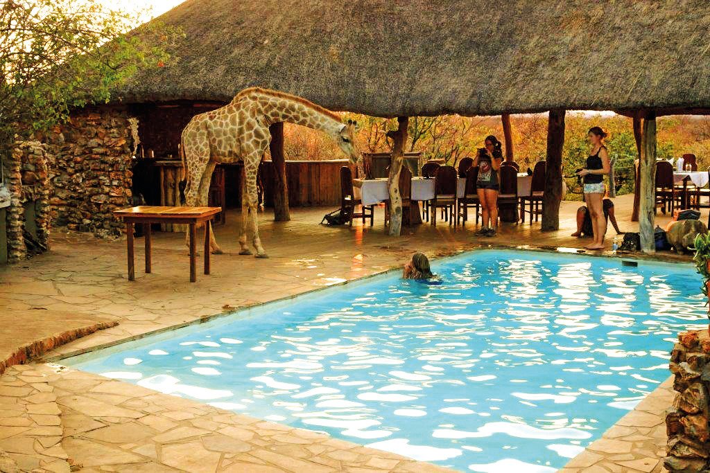 Namibia Etosha Okutala Lodge Pool Iwanowskis Reisen - afrika.de