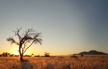 Namibia Sossusvlei Desert Camp Sonnenuntergang Iwanowskis Reisen - afrika.de