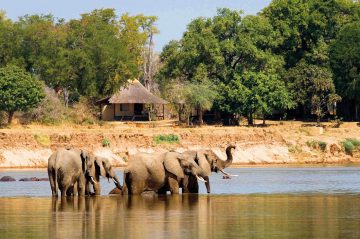 Sambia South Luangwa National Park Nsefu Bush Camp Iwanowskis Reisen - afrika.de