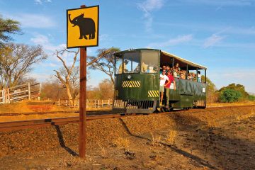 Simbabwe Hwange Nationalpark Elephant Express Iwanowskis Reisen - afrika.de