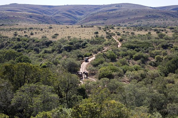 Südafrika Eastern Cape Province Addo Elephant Park Iwanowskis Reisen - afrika.de