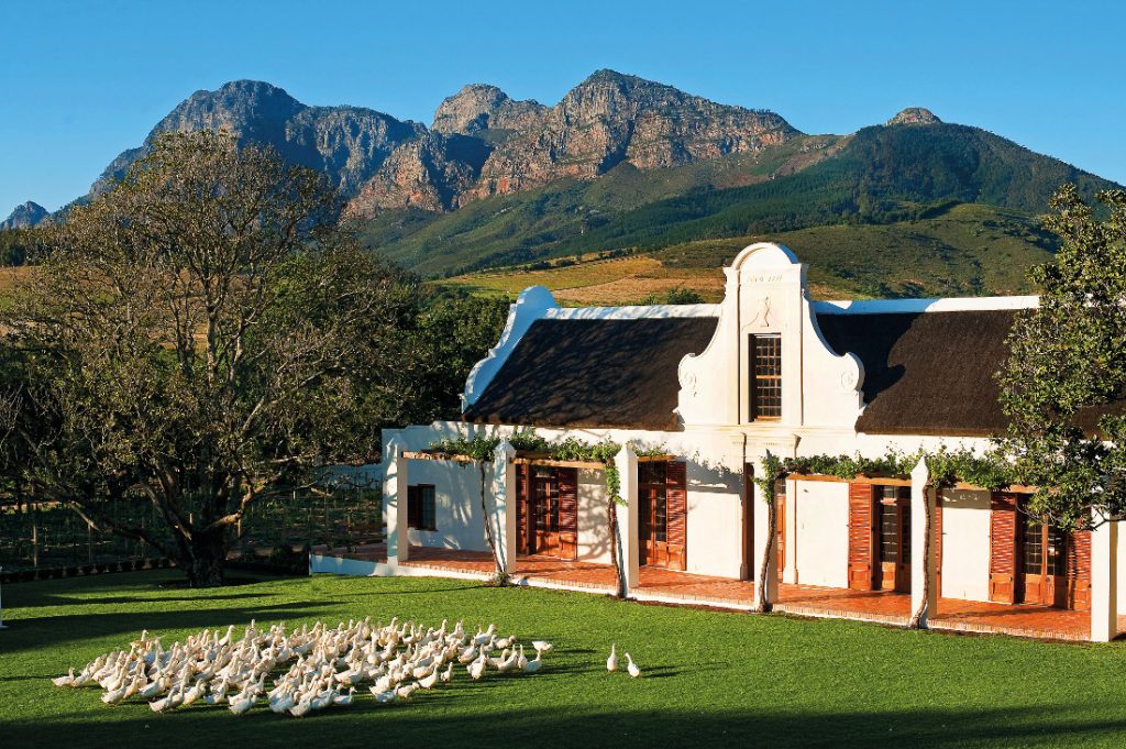 Südafrika Stellenbosch Babylonstoren Farm Hotel Iwanowskis Reisen - afrika.de