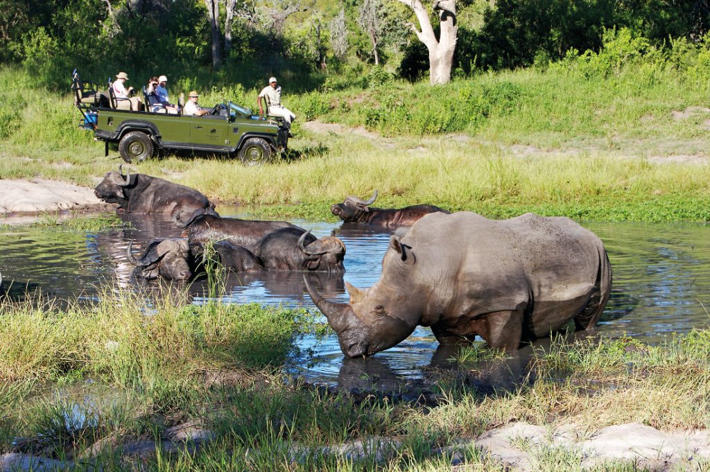 Südafrika Sabi Sands Elephant Plains Game Lodge Pirschfahrt Iwanowskis Reisen - afrika.de