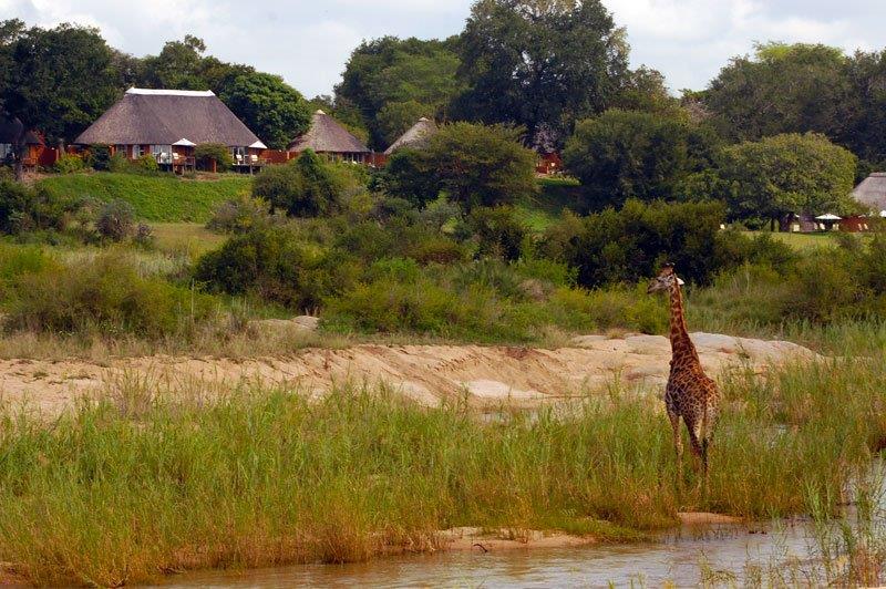 Südafrika Kruger Nationalpark Mala Mala Camp Iwanowskis Reisen - afrika.de