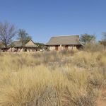 Südafrika Kgalagadi Transfrontier Park Twee Rivieren Camp Iwanowskis Reisen - afrika.de