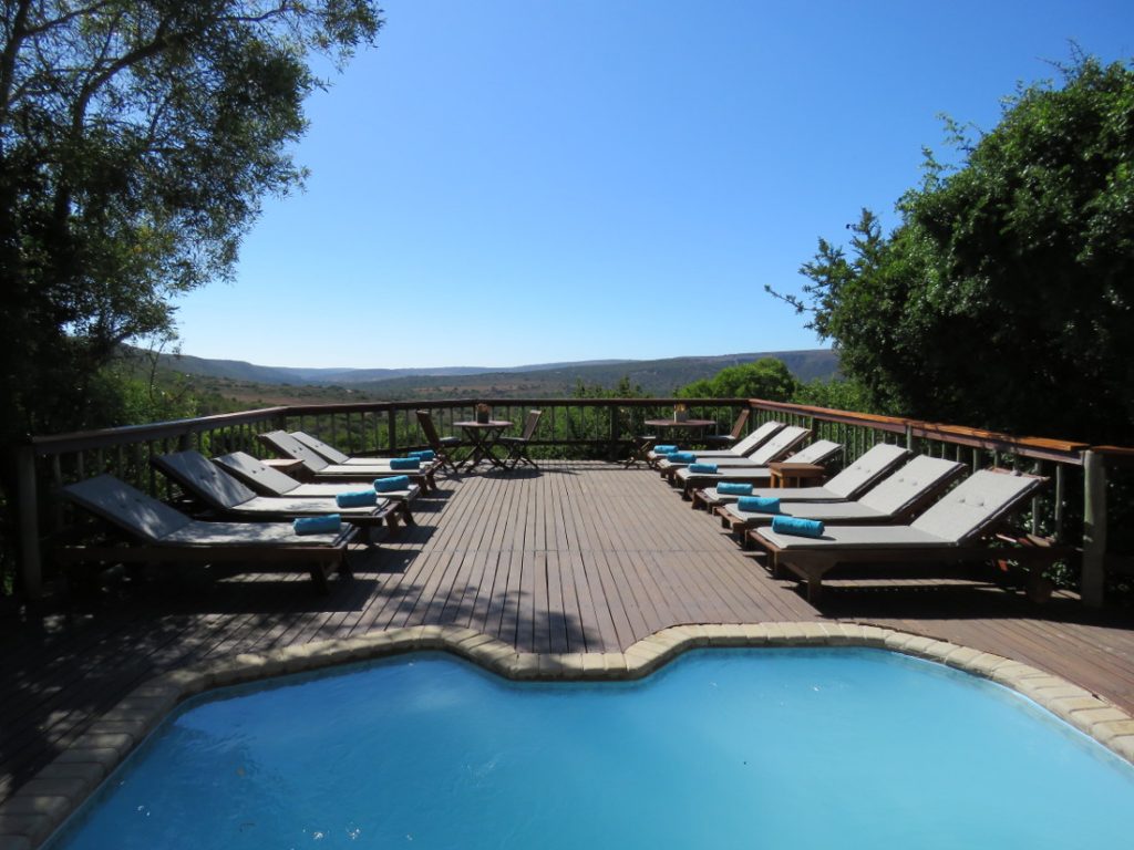 Südafrika Eastern Cape Amakhala Woodbury Lodge Pool Iwanowskis Reisen - afrika.de