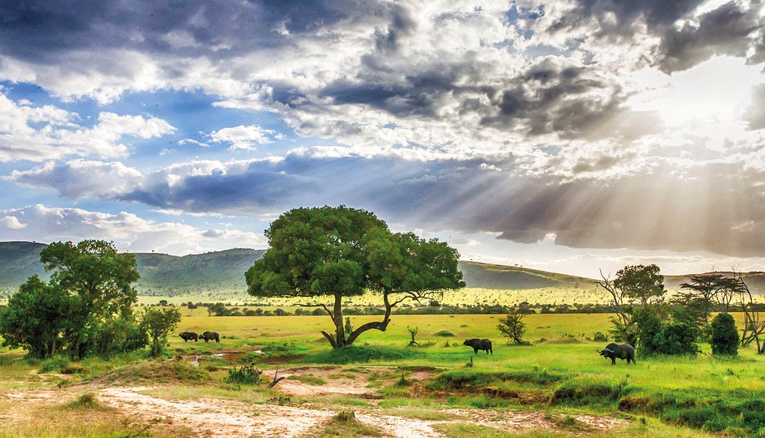Tansania Serengeti National Park Serengeti under Canvas Landschaft Iwanowskis Reisen - afrika.de