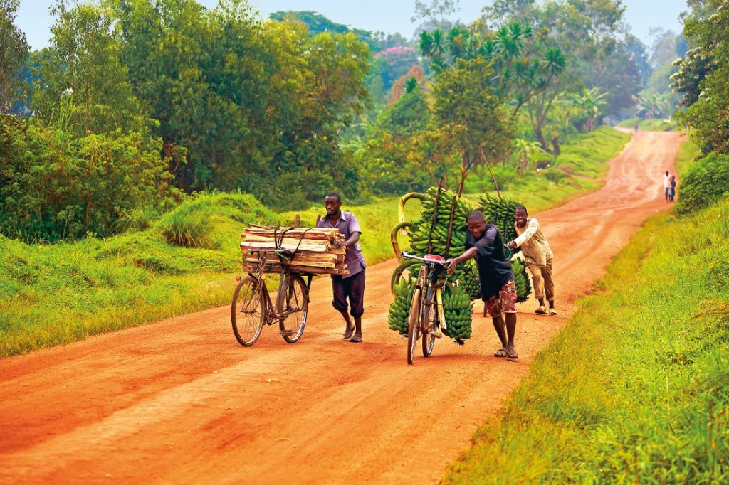 Uganda die Perle Afrikas Selbstfahrertour Iwanowskis Reisen