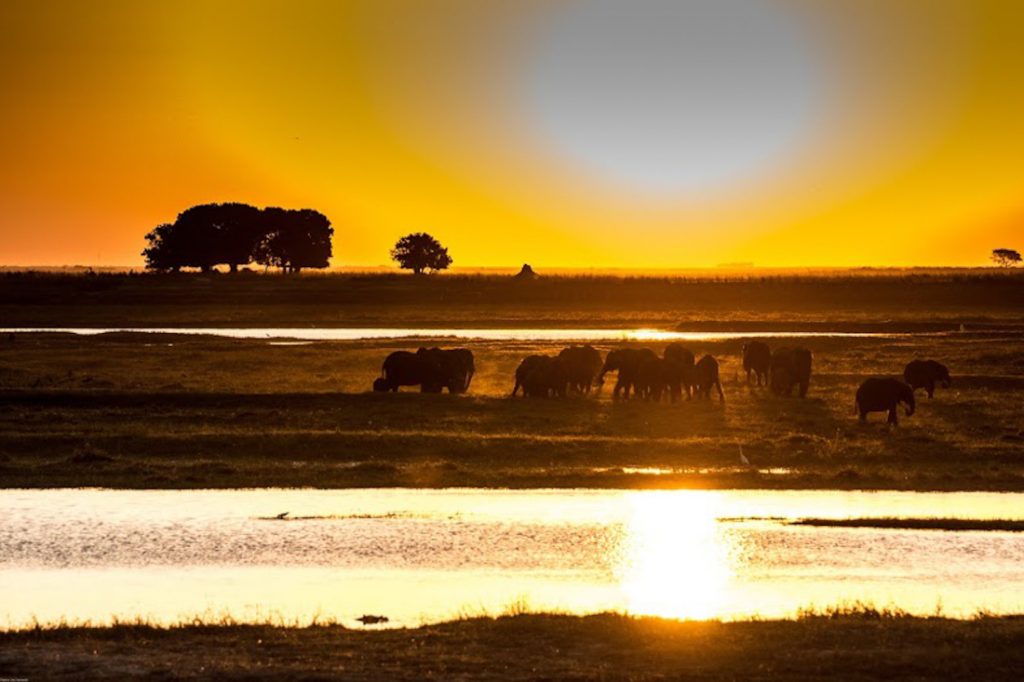 Botswana Chobe Nationalpark Elefanten Sonnenuntergang Sunway Safaris Iwanowskis Reisen - afrika.de