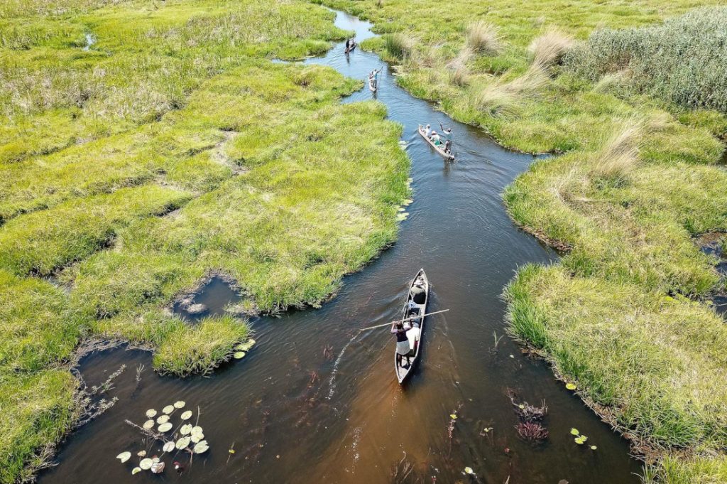 Botswana Okavango Delta Mokorofahrt Sunway Safaris Iwanowskis Reisen - afrika.de