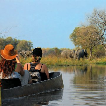 Botswana Moremi Wildlife Reserve Sango Safari Camp Mokorofahrt Iwanowskis Reisen - afrika.de