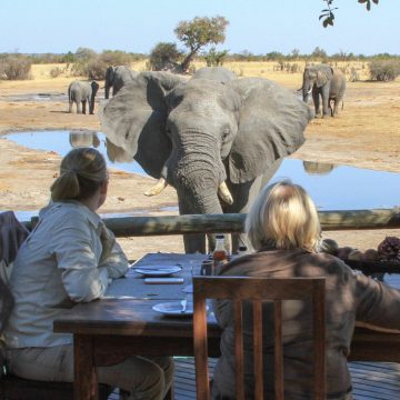 Simbabwe Hwange National Park Nehimba Safari Lodge Wasserloch Iwanowskis Reisen - afrika.de