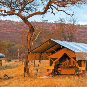 Tansania Serengeti Ndutu Kati Kati Camp Safarizelt Iwanowskis Reisen - afrika.de