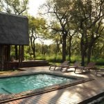 Südafrika Pilanesberg National Park Black Rhino Game Lodge Pool Iwanowskis Reisen - afrika.de