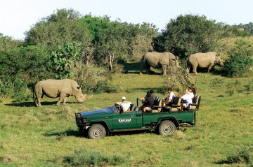 Kariega Game Reserve - Settlers Drift - Safari
