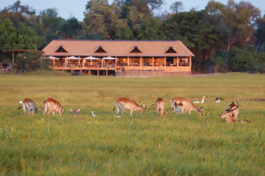 Botswana Okavango Delta Kanana Camp Iwanowskis Reisen - afrika.de