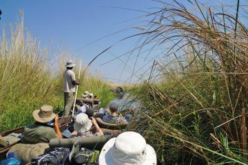 Botswana Okavango Delta Mokorofahrt Sunway Safari Iwanowskis Reisen - afrika.de