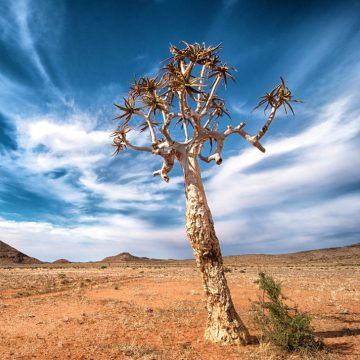 Selbstfahrerreise: Namibias tiefer Süden