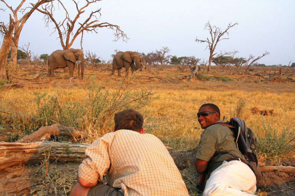 Botswana Safari Fußpirsch Iwanowskis Reisen - afrika.de