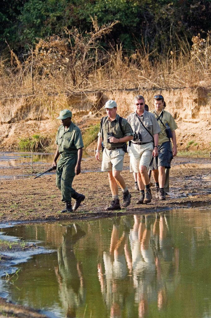 Sambia South Luangwa National Park Wandersafari Fußpirsch Iwanowskis Reisen - afrika.de