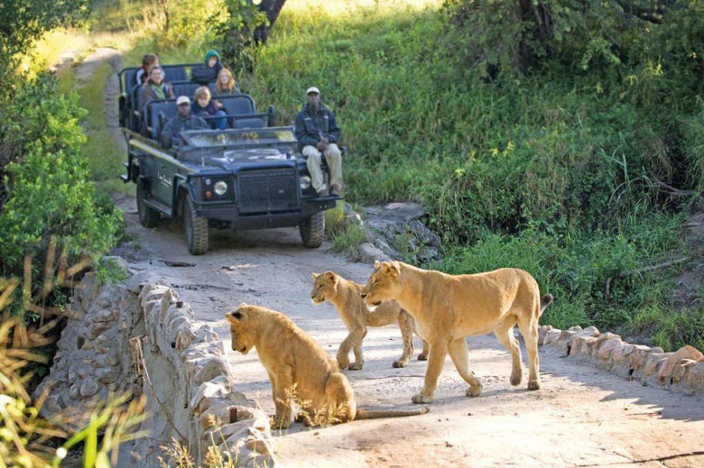 Südafrika Lion Sands Game Reserve Ivory Lodge Pirschfahrt Iwanowskis Reisen - afrika.de