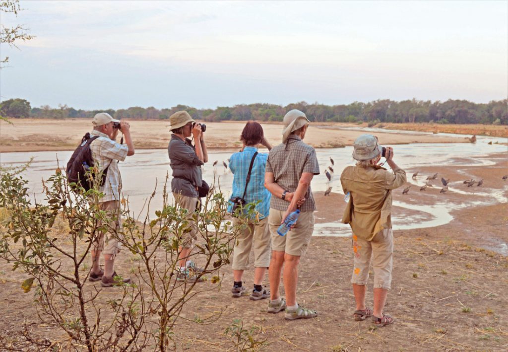Sambia Camping Wander Safari Wildtierbeobachtung Luangwa Fluss Iwanowskis Reisen - afrika.de