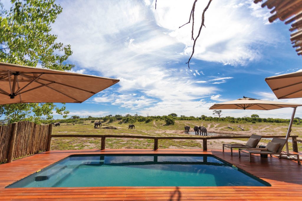 Botswana Chobe National Park Savute Safari Lodge Pool Iwanowskis Reisen - afrika.de
